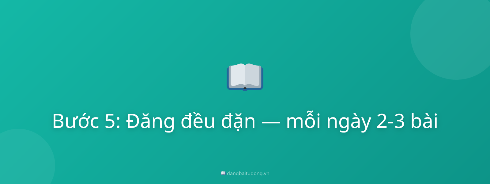 Bước 5: Đăng đều đặn — mỗi ngày 2-3 bài