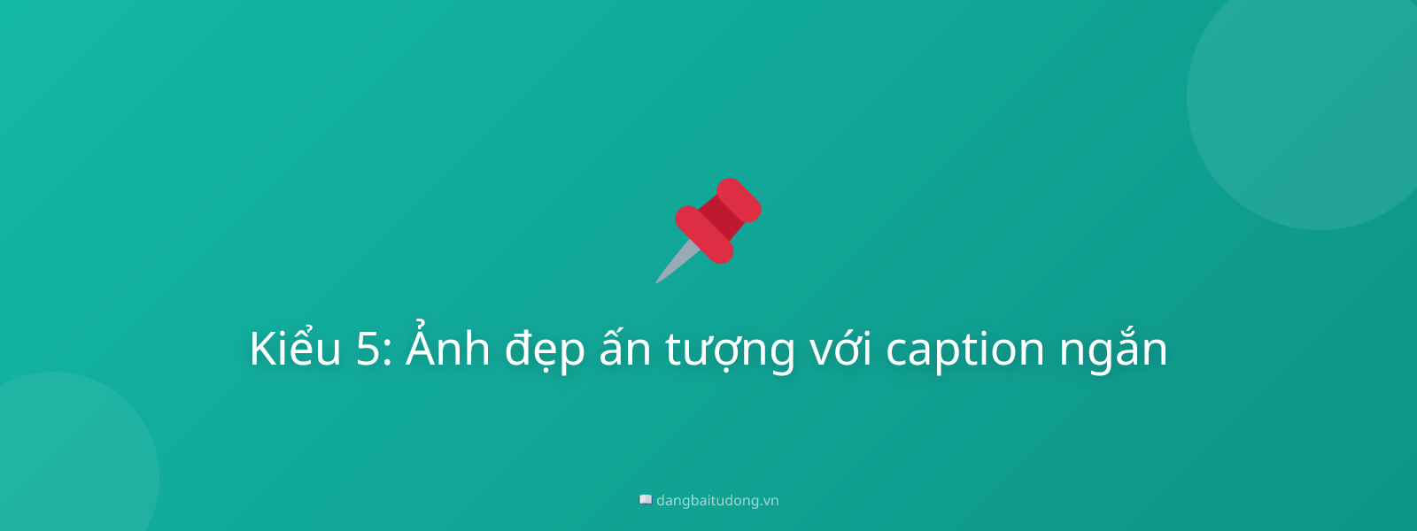 Kiểu 5: Ảnh đẹp ấn tượng với caption ngắn