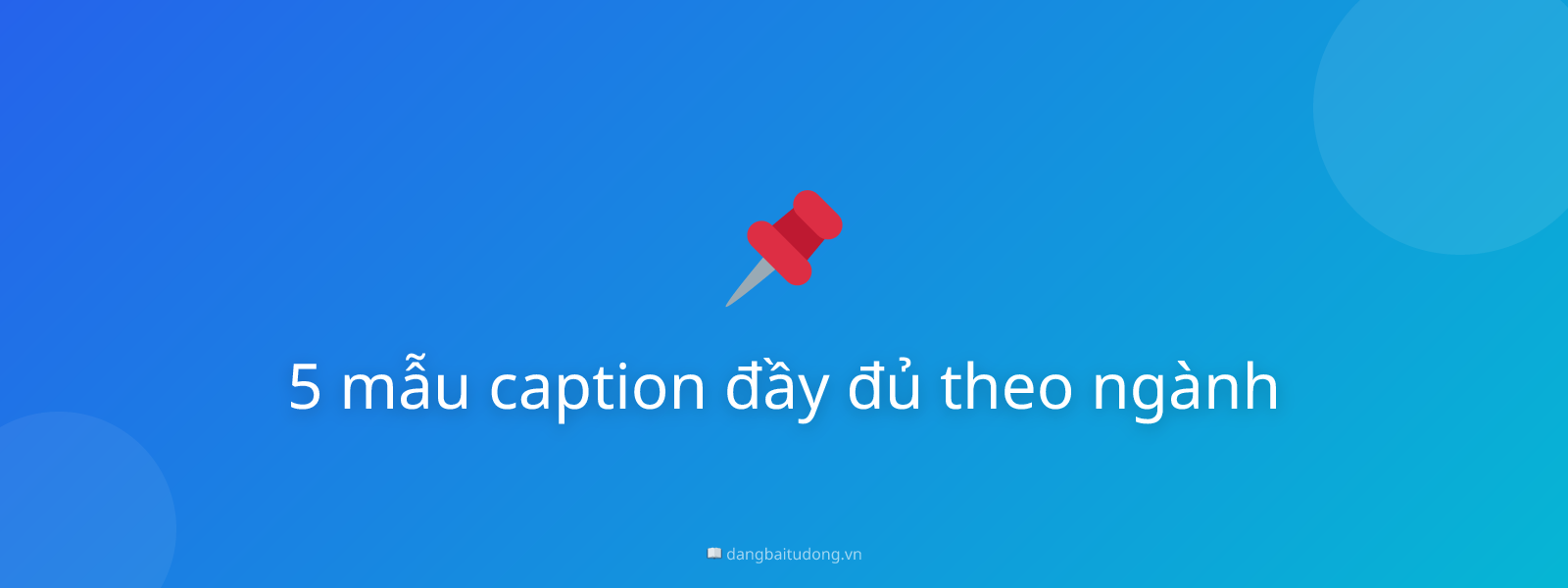 5 mẫu caption đầy đủ theo ngành