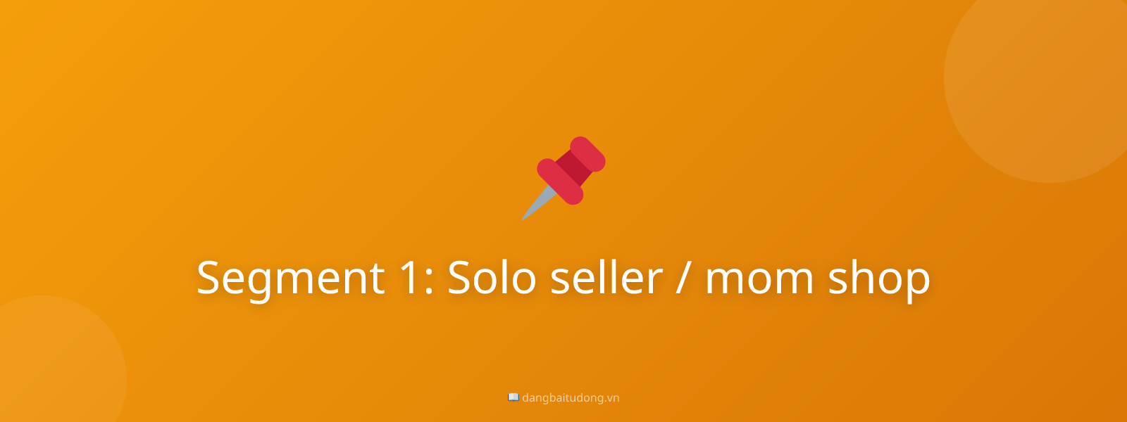 Segment 1: Solo seller / mom shop