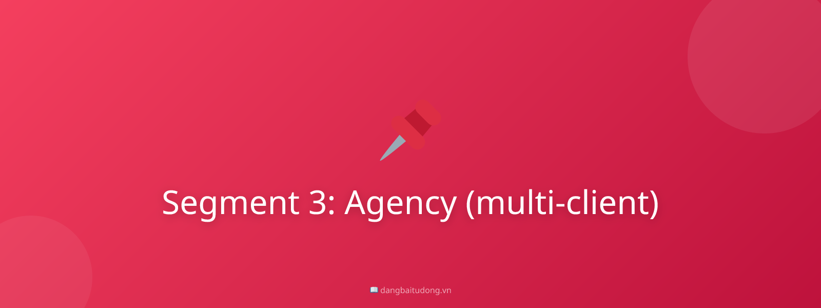 Segment 3: Agency (multi-client)