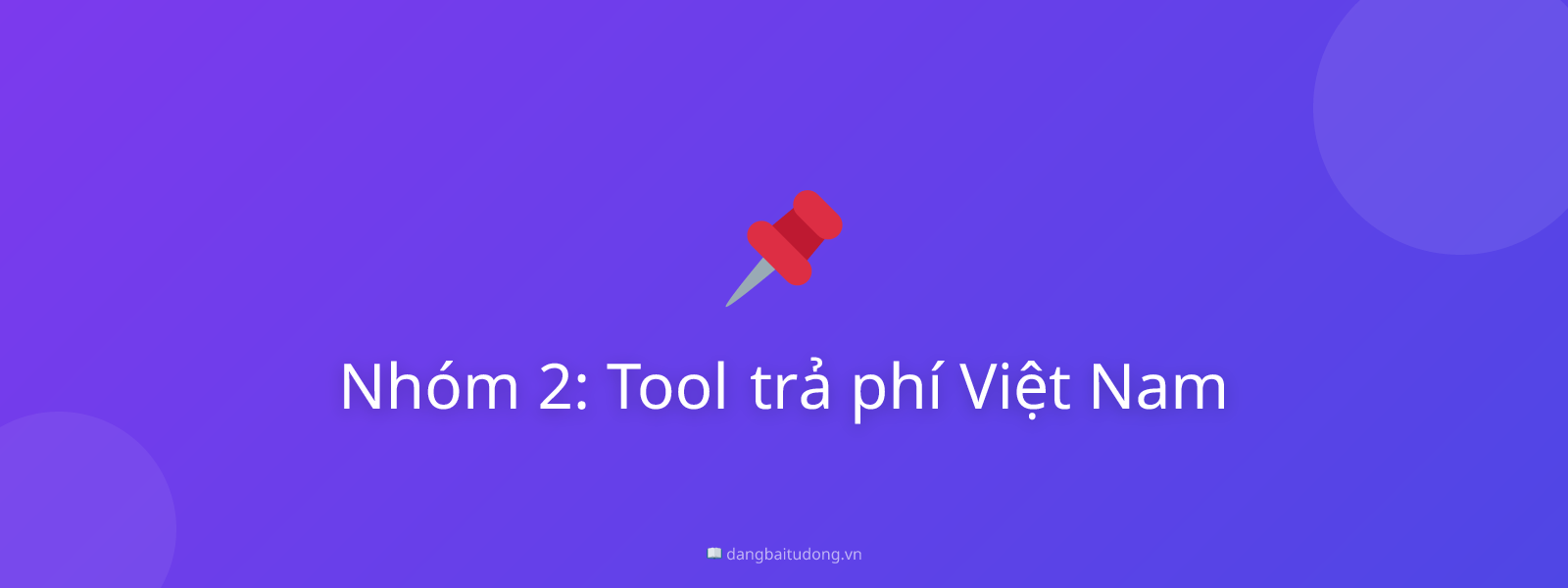 Nhóm 2: Tool trả phí Việt Nam